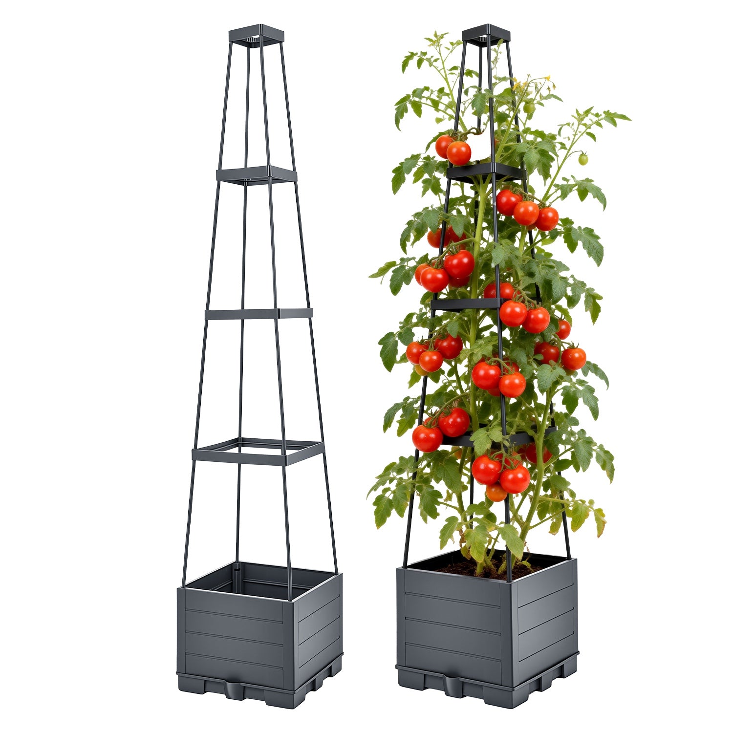 2Pack Raised Garden Bed Boxes With Trellis 56in Tomato Self-Watering Planter ...