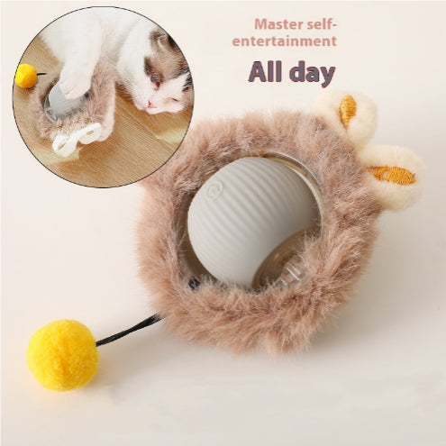 Balle de jeu pour chien — Cat Toy Self-Hi Funny Cat