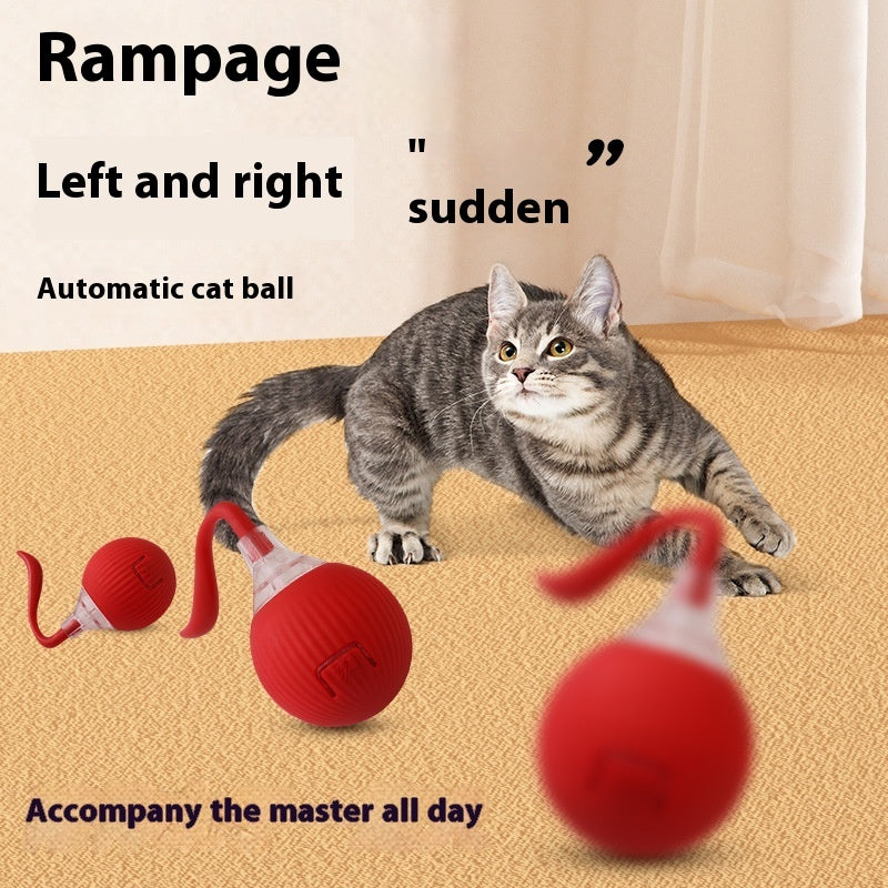 Balle de jeu pour chien — Interactive Cat Toy Ball