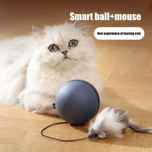 Balle de jeu pour chien — Cat Toys Mouse Teaser Bal